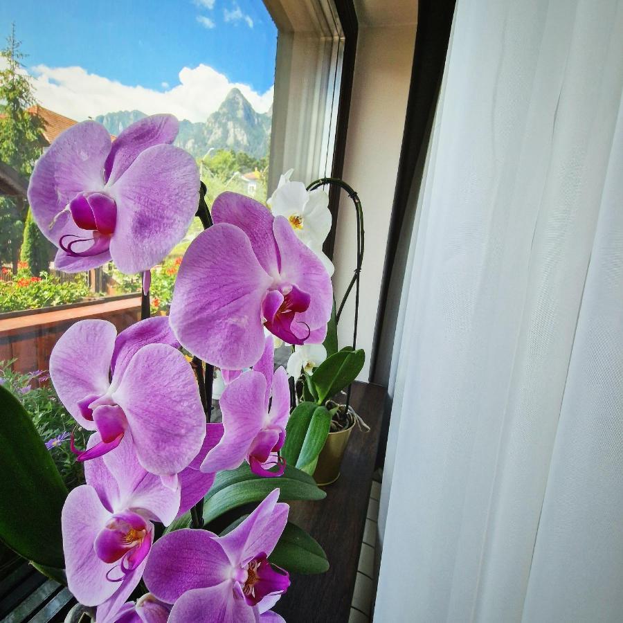 Amor Tirol Busteni (Adults Only) Exterior photo