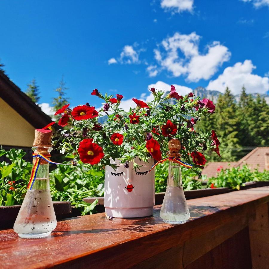Amor Tirol Busteni (Adults Only) Exterior photo