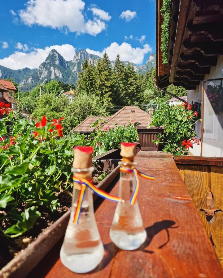 Amor Tirol Busteni (Adults Only) Exterior photo