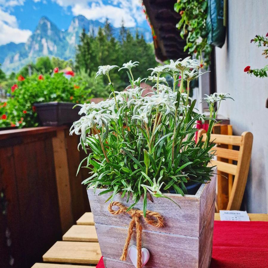 Amor Tirol Busteni (Adults Only) Exterior photo