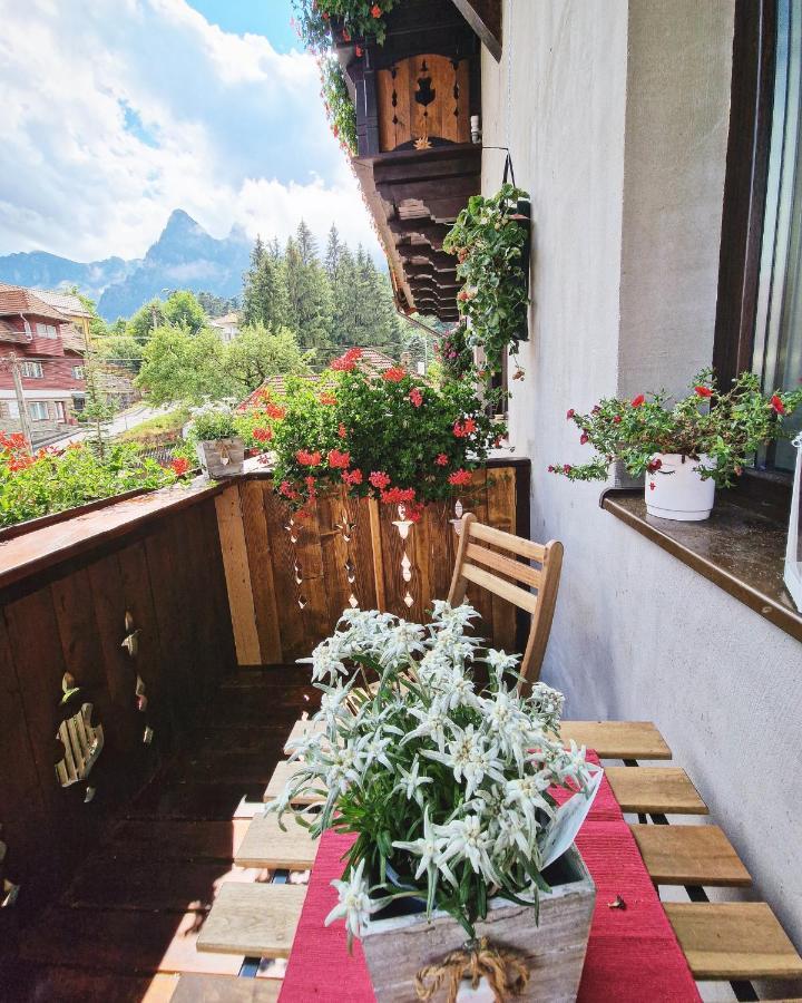Amor Tirol Busteni (Adults Only) Exterior photo