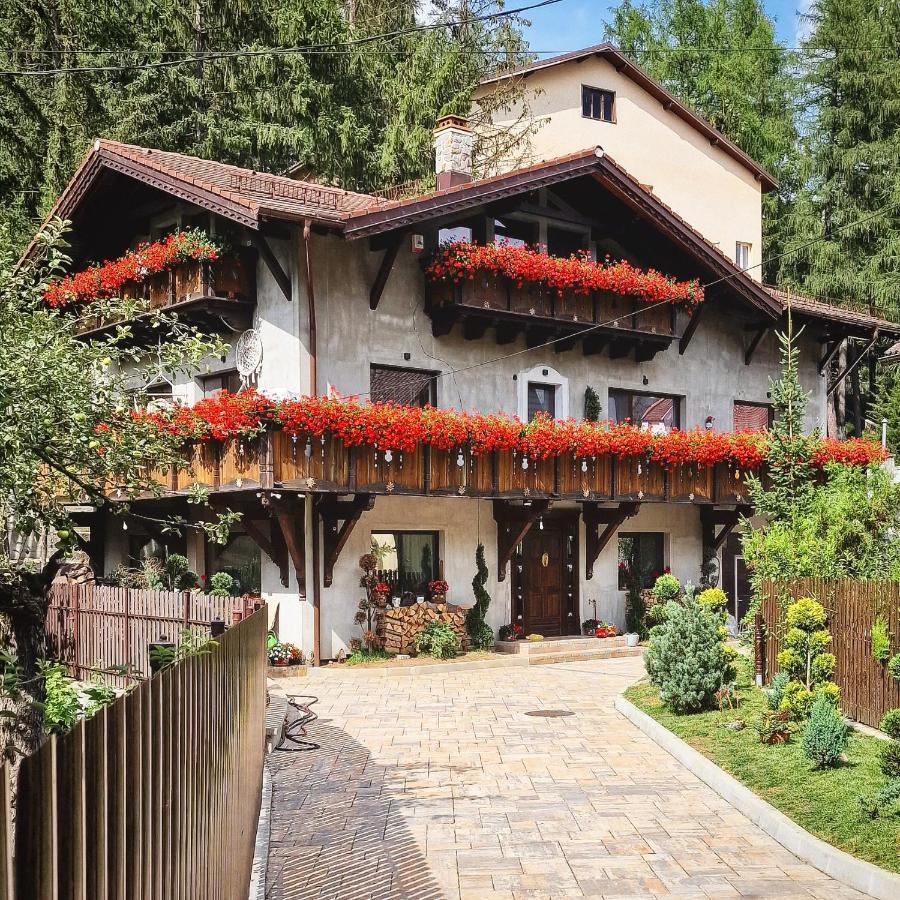 Amor Tirol Busteni (Adults Only) Exterior photo