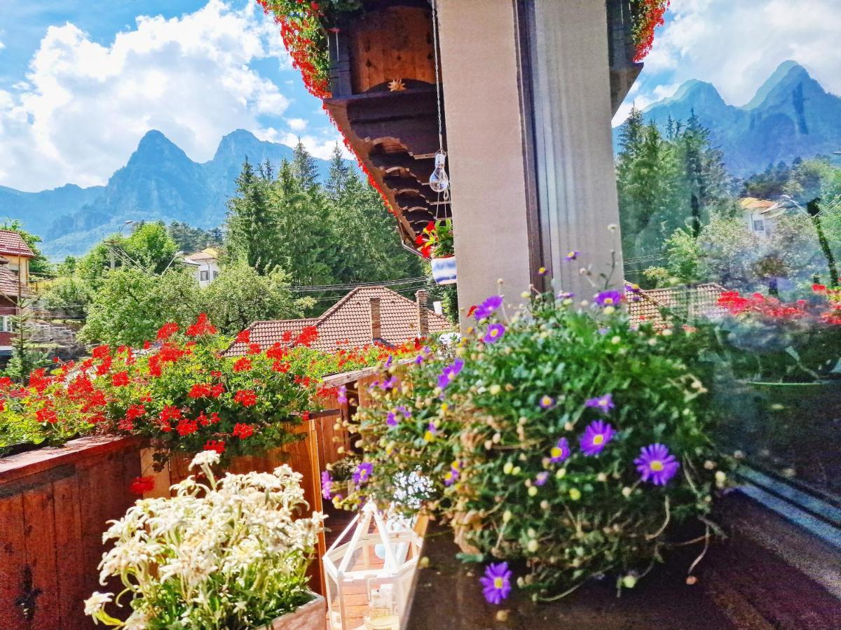 Amor Tirol Busteni (Adults Only) Exterior photo