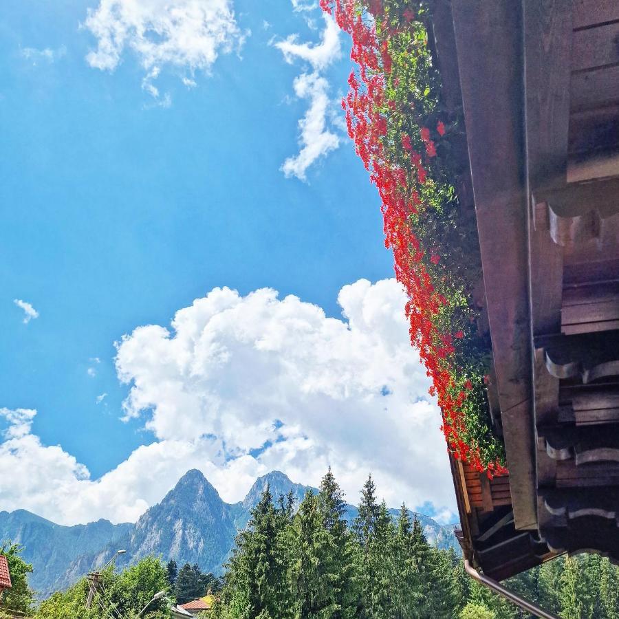 Amor Tirol Busteni (Adults Only) Exterior photo