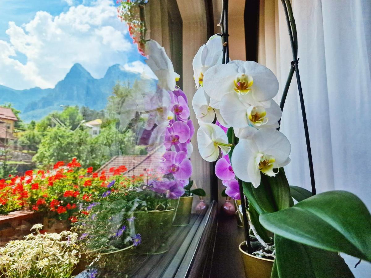 Amor Tirol Busteni (Adults Only) Exterior photo
