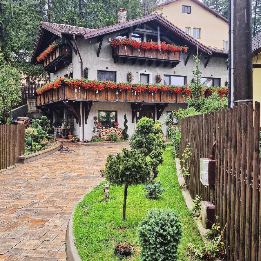 Amor Tirol Busteni (Adults Only) Exterior photo