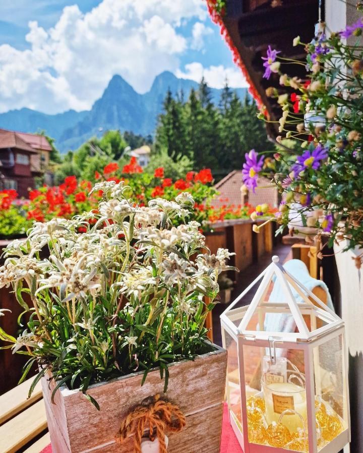 Amor Tirol Busteni (Adults Only) Exterior photo