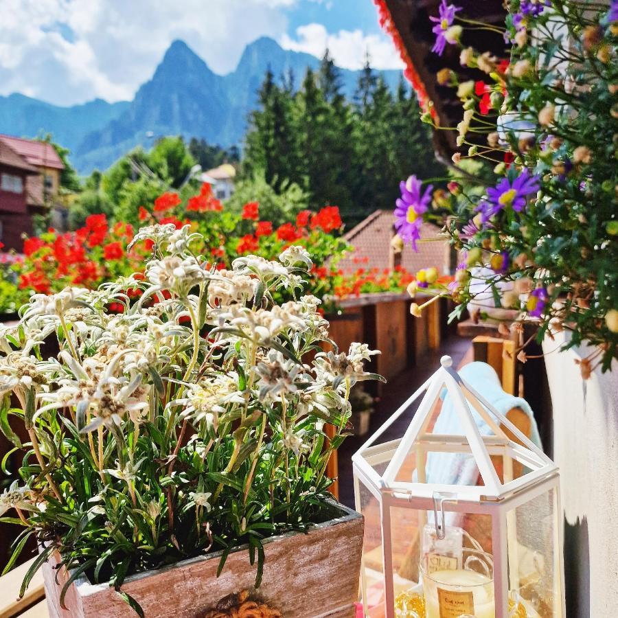 Amor Tirol Busteni (Adults Only) Exterior photo