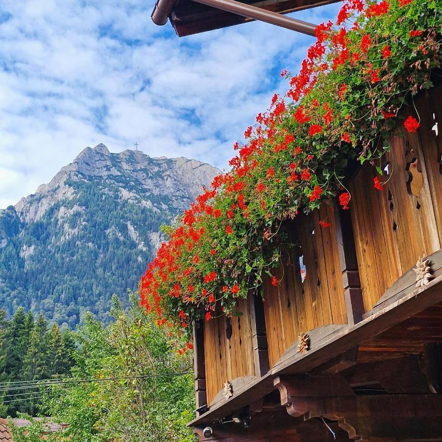 Amor Tirol Busteni (Adults Only) Exterior photo
