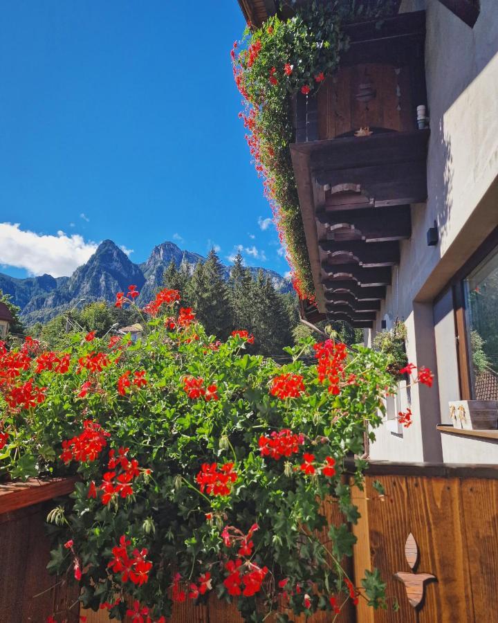 Amor Tirol Busteni (Adults Only) Exterior photo