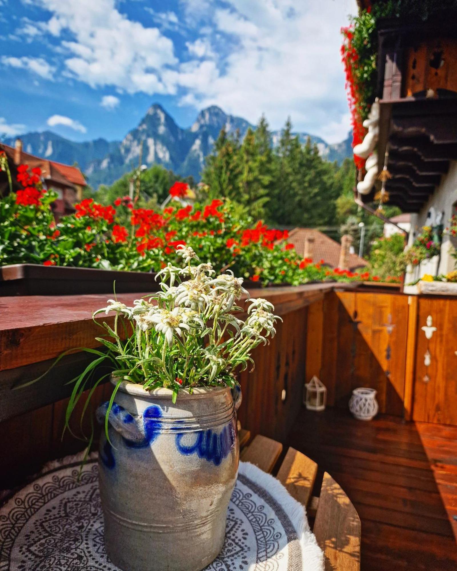 Amor Tirol Busteni (Adults Only) Exterior photo